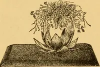 An illustration from Our homes; how to beautify them. One hundred and fifty engravings (1888)