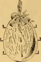 An illustration from Our homes; how to beautify them. One hundred and fifty engravings (1888)