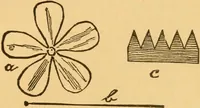 An illustration from Our homes; how to beautify them. One hundred and fifty engravings (1888)