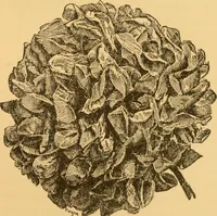 An illustration from Our homes; how to beautify them. One hundred and fifty engravings (1888)