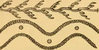 An illustration from Our homes; how to beautify them. One hundred and fifty engravings (1888)