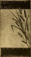 An illustration from Our homes; how to beautify them. One hundred and fifty engravings (1888)