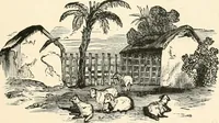 An illustration from Our homes and their adornments, or, How to build, finish, furnish and adorn a home, containing practical instructions for the building of homes, interior decoration, wood carving, scroll sawing, house painting, window hangings, screens, curtains, window gardening, incidental decorations, decorative-art needle-work, and economic landscape gardening; to which is added a household compendium of new, practical and valuable recipes, the whole being designed to make happy homes for happy people (1883)