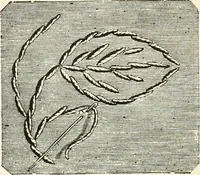 An illustration from Our homes and their adornments, or, How to build, finish, furnish and adorn a home, containing practical instructions for the building of homes, interior decoration, wood carving, scroll sawing, house painting, window hangings, screens, curtains, window gardening, incidental decorations, decorative-art needle-work, and economic landscape gardening; to which is added a household compendium of new, practical and valuable recipes, the whole being designed to make happy homes for happy people (1883)