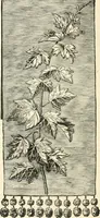 An illustration from Our homes and their adornments, or, How to build, finish, furnish and adorn a home, containing practical instructions for the building of homes, interior decoration, wood carving, scroll sawing, house painting, window hangings, screens, curtains, window gardening, incidental decorations, decorative-art needle-work, and economic landscape gardening; to which is added a household compendium of new, practical and valuable recipes, the whole being designed to make happy homes for happy people (1883)