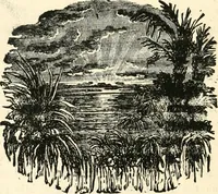 An illustration from Our homes and their adornments, or, How to build, finish, furnish and adorn a home, containing practical instructions for the building of homes, interior decoration, wood carving, scroll sawing, house painting, window hangings, screens, curtains, window gardening, incidental decorations, decorative-art needle-work, and economic landscape gardening; to which is added a household compendium of new, practical and valuable recipes, the whole being designed to make happy homes for happy people (1883)