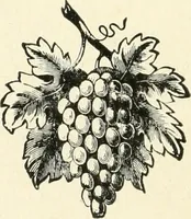 An illustration from Our homes and their adornments, or, How to build, finish, furnish and adorn a home, containing practical instructions for the building of homes, interior decoration, wood carving, scroll sawing, house painting, window hangings, screens, curtains, window gardening, incidental decorations, decorative-art needle-work, and economic landscape gardening; to which is added a household compendium of new, practical and valuable recipes, the whole being designed to make happy homes for happy people (1883)