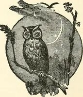 An illustration from Our homes and their adornments, or, How to build, finish, furnish and adorn a home, containing practical instructions for the building of homes, interior decoration, wood carving, scroll sawing, house painting, window hangings, screens, curtains, window gardening, incidental decorations, decorative-art needle-work, and economic landscape gardening; to which is added a household compendium of new, practical and valuable recipes, the whole being designed to make happy homes for happy people (1883)