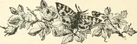 An illustration from Our homes and their adornments, or, How to build, finish, furnish and adorn a home, containing practical instructions for the building of homes, interior decoration, wood carving, scroll sawing, house painting, window hangings, screens, curtains, window gardening, incidental decorations, decorative-art needle-work, and economic landscape gardening; to which is added a household compendium of new, practical and valuable recipes, the whole being designed to make happy homes for happy people (1883)