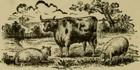 An illustration from Our homes and their adornments; (1884)
