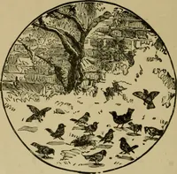An illustration from Our homes and their adornments; (1884)