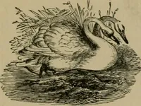 Picture 66 of 132 from Our homes and their adornments; (1884), leaf 244
