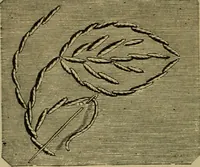 An illustration from Our homes and their adornments; (1884)