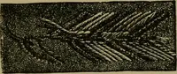 Picture 76 of 132 from Our homes and their adornments; (1884), leaf 252