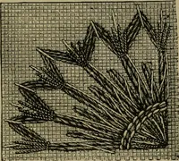 Picture 77 of 132 from Our homes and their adornments; (1884), leaf 252