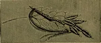 Picture 78 of 132 from Our homes and their adornments; (1884), leaf 253