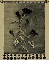 Picture 80 of 132 from Our homes and their adornments; (1884), leaf 254