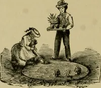 Picture 116 of 132 from Our homes and their adornments; (1884), leaf 329