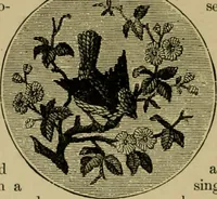 Picture 124 of 132 from Our homes and their adornments; (1884), leaf 369