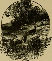 An illustration from Our homes and their adornments; (1884)