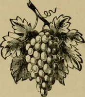 Picture 130 of 132 from Our homes and their adornments; (1884), leaf 485