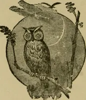 Picture 7 of 132 from Our homes and their adornments; (1884), leaf 59