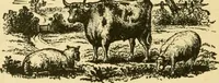 An illustration from Our homes and their adornment: (1883)