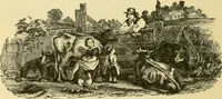 An illustration from Our homes and their adornment: (1883)