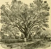 An illustration from Our homes and their adornment: (1883)
