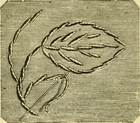An illustration from Our homes and their adornment: (1883)