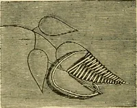 An illustration from Our homes and their adornment: (1883)