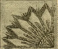 An illustration from Our homes and their adornment: (1883)