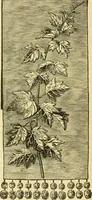 An illustration from Our homes and their adornment: (1883)