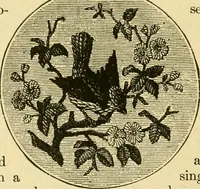 An illustration from Our homes and their adornment: (1883)