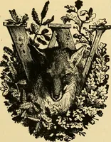 An illustration from Our homes and their adornment: (1883)