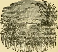 An illustration from Our homes and their adornment: (1883)