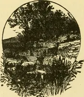 An illustration from Our homes and their adornment: (1883)