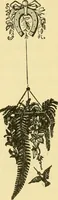 Picture 136 of 137 from Our homes and their adornment: (1883), leaf 515