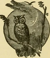 An illustration from Our homes and their adornment: (1883)