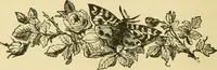 An illustration from Our homes and their adornment: (1883)