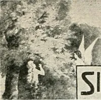 An illustration from Our paradise home; the earth made new and the restoration of all things (1903)