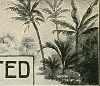 An illustration from Our paradise home; the earth made new and the restoration of all things (1903)