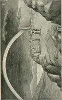 Picture 10 of 33 from Our paradise home; the earth made new and the restoration of all things (1903), leaf 37