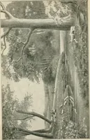 An illustration from Our paradise home; the earth made new and the restoration of all things (1903)
