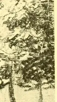 An illustration from Our Philadelphia (1914)