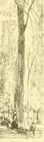 An illustration from Our Philadelphia (1914)