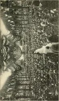 An illustration from Our political drama, conventions, campaigns, candidates (1904)