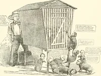 Picture 8 of 44 from Our political drama, conventions, campaigns, candidates (1904), leaf 102