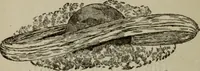 Picture 11 of 16 from Our race : its origin and its destiny (1892), leaf 613