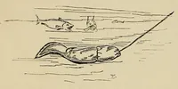 Picture 4 of 13 from Outdoor games for all seasons (1896), leaf 162